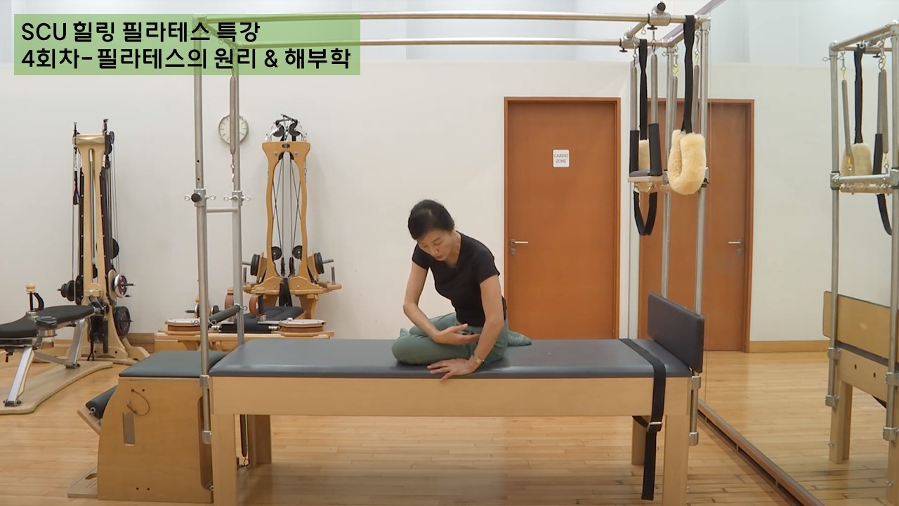 필라테스의 원리 & 해부학 - 영상보러가기